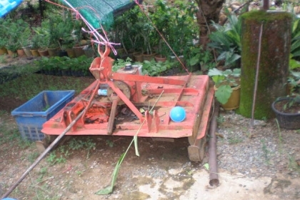 ขายครับ