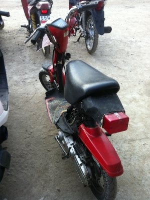 ขายด่วน ป๊อปญี่ปุ่น