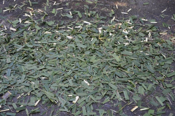 ขายเครื่อง สับ ย่อย กิ่งไม้ อเนคประสงค์ นำเข้าญี่ปุ่นยังไม่เคยใช้งานในไทย 19,500เท่านั้น!!