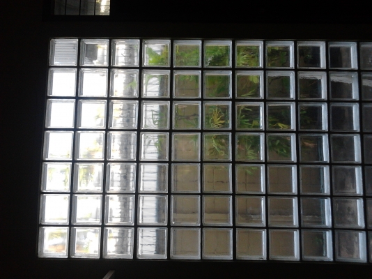 ขายด่วน ประตูหน้าต่างกระจกบานสวิงขอบอลูเนียมมีวงกบสามารถนำไปใช้ได้เลย ขายถูกจร้าท่านใดสนใจ ติดต่อ ด่วน มาก่อนได้ก่อน  089-3530206