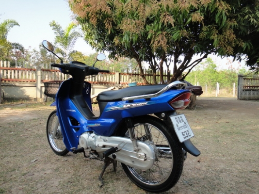 Honda drem 125 ปี51 สีเดิมๆ เครื่องดี