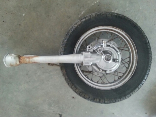 วีราโก้