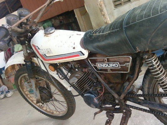 ขาย dt 100 มีทะเบียน