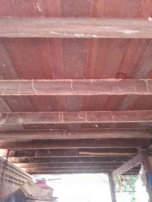 @@@@@  ขายบ้านไม้1หลัง  @@@@@