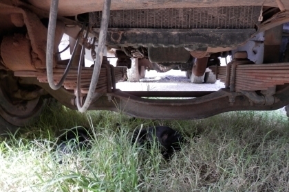 10ล้อดั้ม ISUZU ROCK 210 เจ้าของขับเองซื้อผ่อนต่อใด้