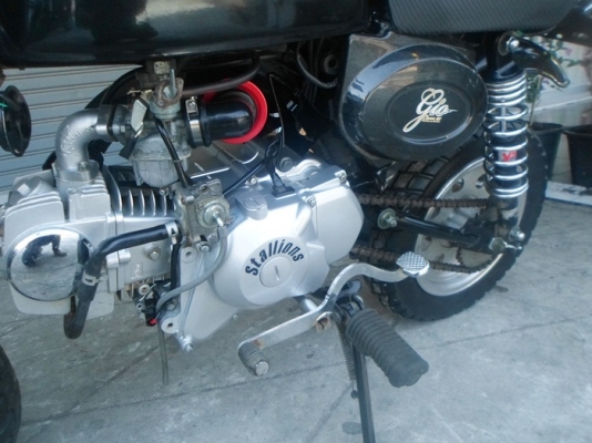 ขายMINI STALION125CC