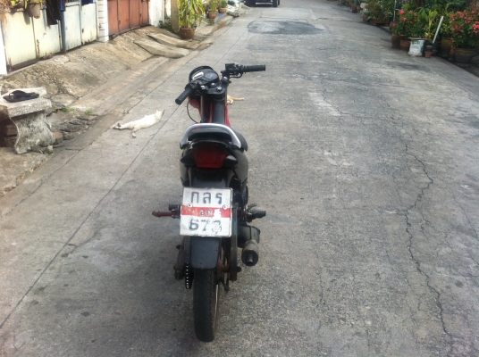 ขายถูกๆ  New Tena