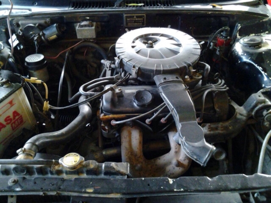 แชมป์ แชมป์