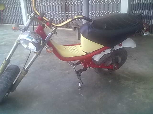 ขายโคลงชิบปี้ยืนคัน หรือแยกโคลงอย่างเดียว