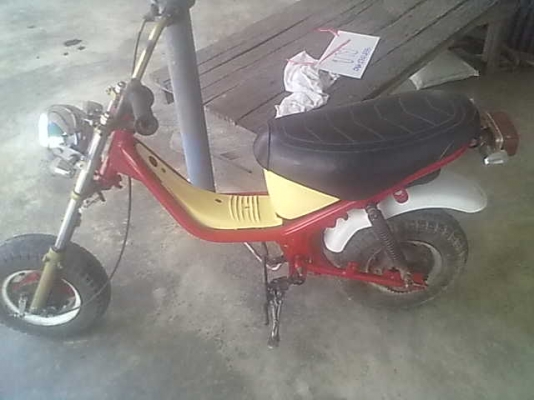 ขายโคลงชิบปี้ยืนคัน หรือแยกโคลงอย่างเดียว