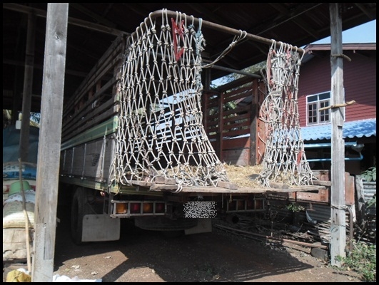 อีซูซุ ร๊อคกี้ 6 ล้อใหญ่