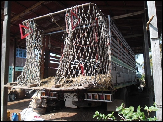 อีซูซุ ร๊อคกี้ 6 ล้อใหญ่