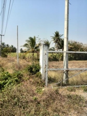 ขายที่ดินเปล่า 161 ตารางวา ติดถนนใหญ่ สายหันคา-เนินขาม ห่างที่ว่าการอ.เนินขาม 2 กม.