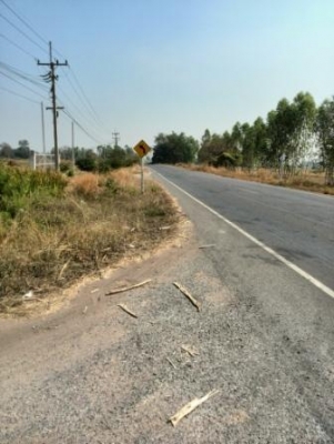 ขายที่ดินเปล่า 161 ตารางวา ติดถนนใหญ่ สายหันคา-เนินขาม ห่างที่ว่าการอ.เนินขาม 2 กม.