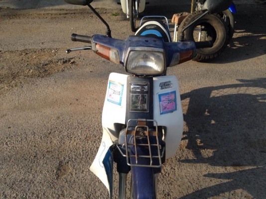 ดรีมตูดเป็ด