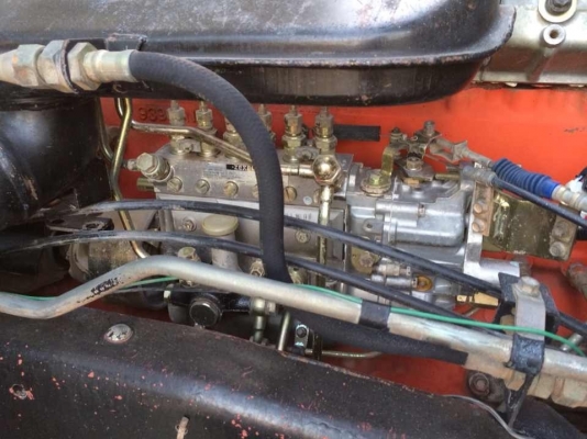 ขายด่วน240นางฟ้าเดิมๆบางๆ