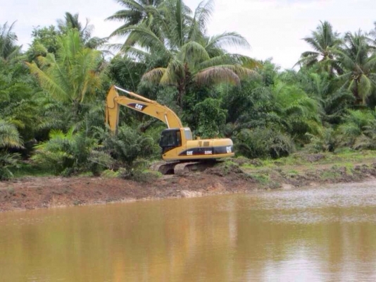 ขายรถ CAT320C รถสวยมาก ทำงาน 13875 ชั่วโมง แอร์เย็น ช่วงล่างเต็ม รถใช้มือเดียว ทำงานดีมาก