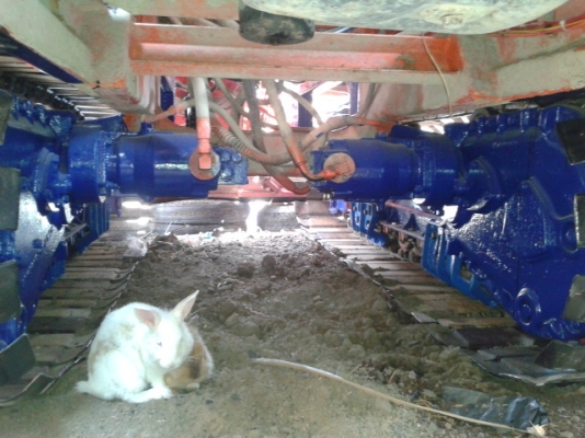 ขายรถเกี่ยวข้าวศักดิ์พัฒนาสภาพ80\% (วางก่อนได้) ขายรถเกี่ยวข้าวศักดิ์พัฒนาสภาพ80\% (วางก่อนได้)