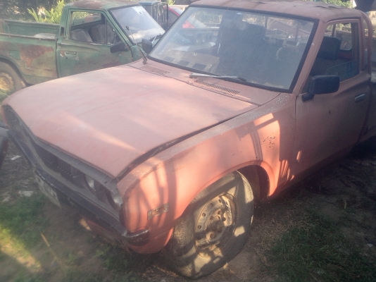 หัวช้าง 9000พร้อมส่งและปะผุครับ