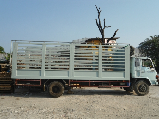 ขายรถ 6ล้อใหญ่ ยาว7.20เมตร มีคอกสูง 0879956110