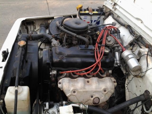 คาริเบี้ยนเดิมๆหล่อๆยาง31นิ้ว