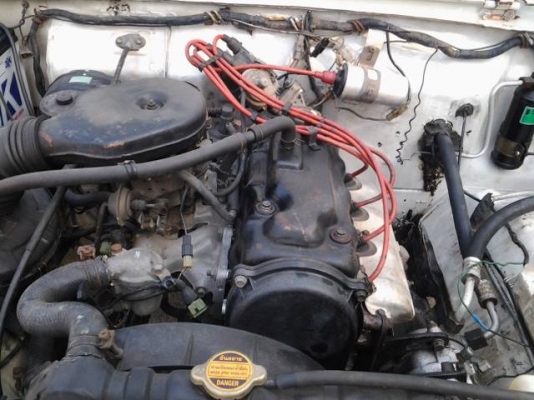 คาริเบี้ยนเดิมๆหล่อๆยาง31นิ้ว