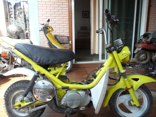 YAMAHA ชิปปี้ 6300 YAMAHA ชิปปี้ 6300