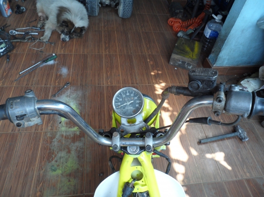 YAMAHA ชิปปี้ 6300 YAMAHA ชิปปี้ 6300