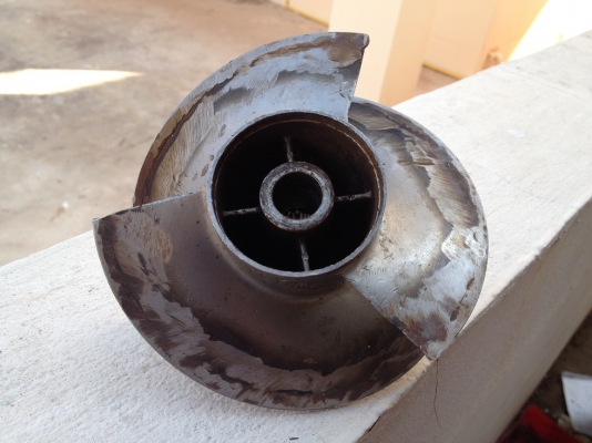 ขายใบแต่ง