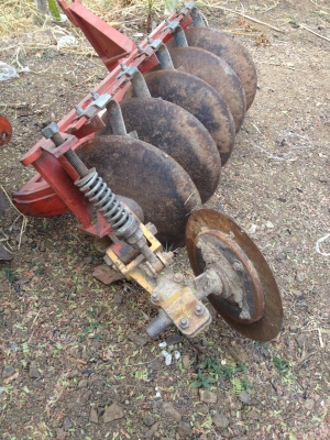 ขายผาน 5 lCS สภาพดีใบสวย ขายผาน 5 lCS สภาพดีใบสวย