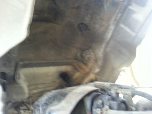 รถอีซูซุ  10 ล้อ รั้ว F17  168 แรงม้า.  สนใจติดต่อ 081 - 6079515