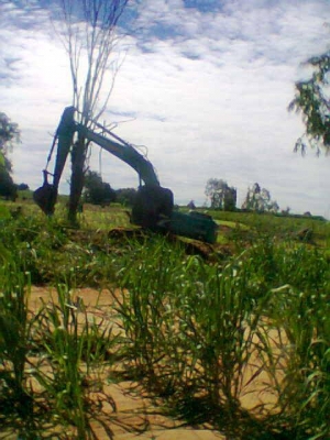 ขาย แบ็คโฮ KOBELCO SK200 MARK 8 YN12 SUPER สภาพแทร็กตัวเดินเต็ม,เครื่องแน่น,เอวแน่น,ปั้มแรงทำงานเร็ว,ไฟฟ้าเต็มทุกจุด,บูมอามสวย สภาพป้ายแดงพร้อมใช้งาน เอกสารเล่มทะเบียนพร้อมโอน ราคาคันละ 2,850,000บาท ต่อรองได้ สนใจติดต่อ:082-3223112,094-5324914(คุณนิเทพ)