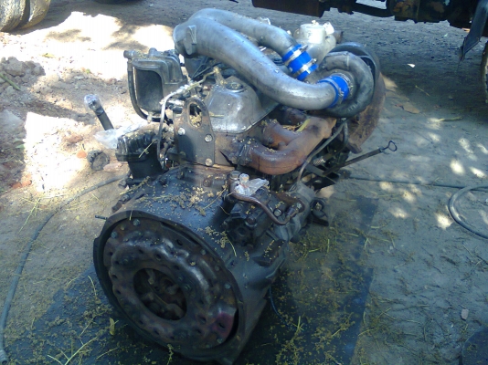 ขายอีกแล้วครับ เครือง ไอ้หลงโบ TF 6D16 ไม่มีใบคุมครับ