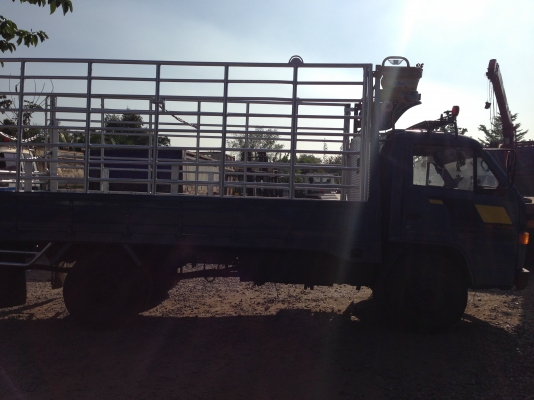 ขาย NPR 115 รถห้างแท้รุ่นเสี่ยสั่งลุยแท้ ขาย NPR 115 รถห้างแท้รุ่นเสี่ยสั่งลุยแท้