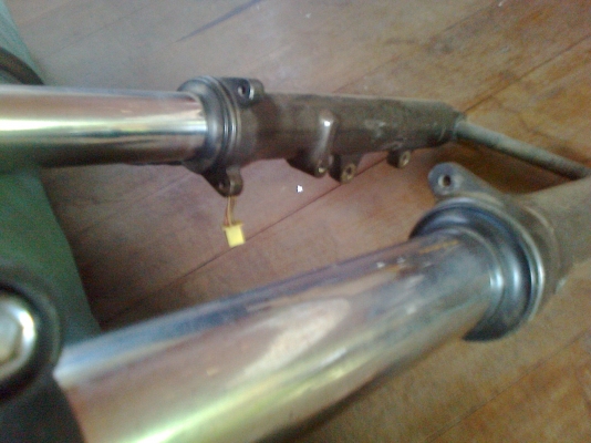 สวิงอาม auzuki