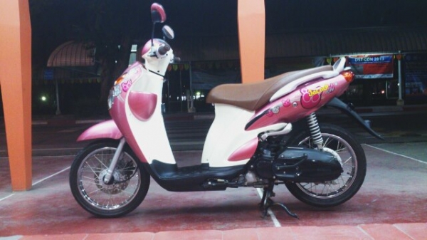 Jelato ปี 2011 ถูกๆ ต่อลองได้