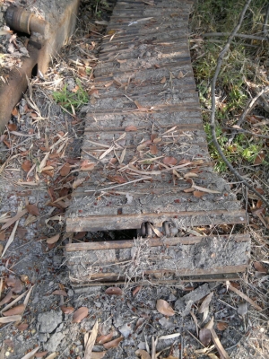 ขายรถแบคโฮ KOMATSU PC-60-5 รถใช้งานได้