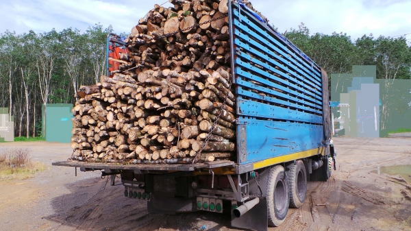 HINO  FL187   ราคาขาย   680,000  บาทค่ะ