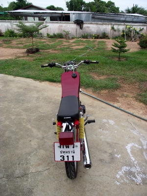 ขาย yamaha concord