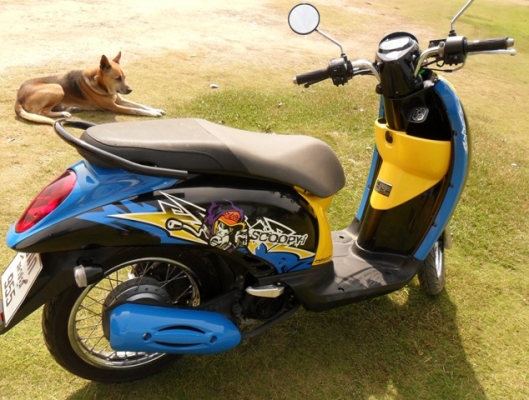 ขาย สกูปี้ไอ Scoopy-i2012 สีน้ำเงิน-ดำ สีสวยทั้งคัน จดทะเบียนปี 2012  เครื่องเดิมๆ แน่นๆใช้งานน้อยวิ่ง 3,600 กมเท่านั้นเพียง29,500 บT. 081-1917015