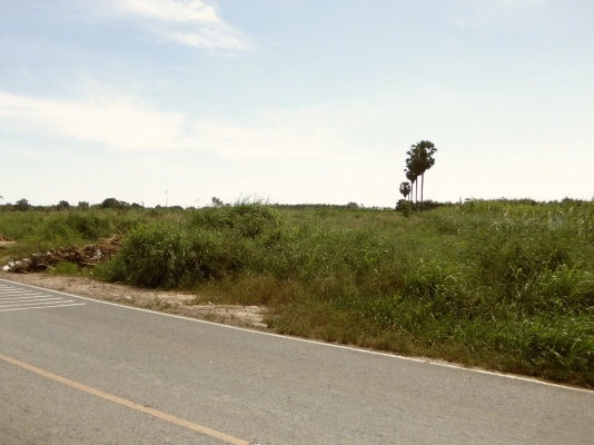 ขายที่ดิน จ.ชลบุรี ติด ถ.331 เข้าซอยประมาณ 800 ม 30 ไร่ 1 งาน เหมาะสร้างโรงงาน โกดัง บ้านจัดสรร ไร่ละ ราคา 700000 บาท ขายที่ดิน จ.ชลบุรี ติด ถ.331 เข้าซอยประมาณ 800 ม 30 ไร่ 1 งาน เหมาะสร้างโรงงาน โกดัง บ้านจัดสรร ไร่ละ ราคา 700000 บาท