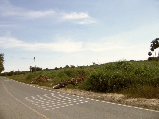 ขายที่ดิน จ.ชลบุรี ติด ถ.331 เข้าซอยประมาณ 800 ม 30 ไร่ 1 งาน เหมาะสร้างโรงงาน โกดัง บ้านจัดสรร ไร่ละ ราคา 700000 บาท ขายที่ดิน จ.ชลบุรี ติด ถ.331 เข้าซอยประมาณ 800 ม 30 ไร่ 1 งาน เหมาะสร้างโรงงาน โกดัง บ้านจัดสรร ไร่ละ ราคา 700000 บาท