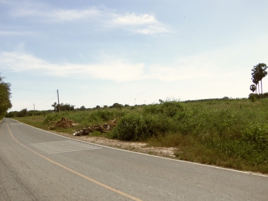 ขายที่ดิน จ.ชลบุรี ติด ถ.331 เข้าซอยประมาณ 800 ม 30 ไร่ 1 งาน เหมาะสร้างโรงงาน โกดัง บ้านจัดสรร ไร่ละ ราคา 700000 บาท ขายที่ดิน จ.ชลบุรี ติด ถ.331 เข้าซอยประมาณ 800 ม 30 ไร่ 1 งาน เหมาะสร้างโรงงาน โกดัง บ้านจัดสรร ไร่ละ ราคา 700000 บาท