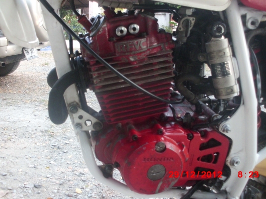 ขาย XLR 250 รุ่นพิเศษ เครื่องแดงจากโรงงาน ประกอบไหม่ เชียงไหม่ 0871932771