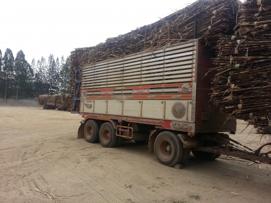 อีซุซุ เดก้า 270 อีซุซุ เดก้า 270