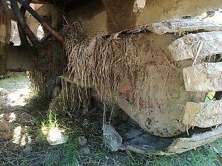 ***ขายแล้วครับขอบคุณ Truck2hand ขายรถเกี่ยวแบบอุ้ม ไทยเส็งยนต์ รุ่นมดตะนอย อุ้ม2.5ตัน อุ้มองศาไม่ปรับระดับ ตัวเดิน 12HT เครื่องHO7D 195Turbo เครื่องแน่นแรงดี ช่วงล่างดี โซ่ข้างขวาดี ข้างซ้ายพอใช้ บูทดีไม่หลวม ปั้มไดกิ้น 22 แยก พร้อมใช้ พร้อมลุยงาน ราคาต่อ