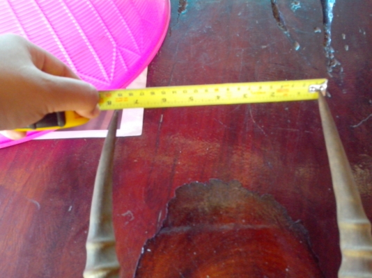 ขายเขา อิมพาลา แอฟริกา เก่าเก็บ