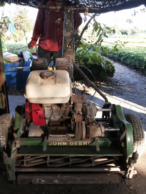 ขายรถตัดหญ้าสนามกอล์ฟ ตัดกรีน John Deere