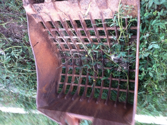 บุ้งกี๋ตักผัก บุ้งกี๋ตักผัก