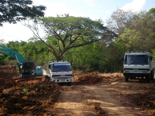 ขายหกล้อดั้ม